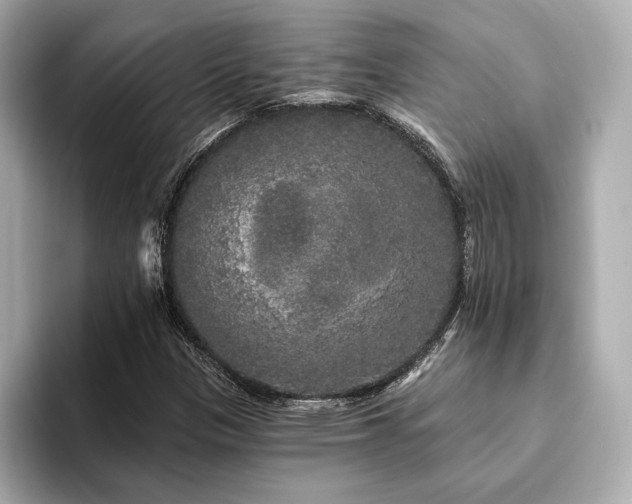 X0000094191305200710261123