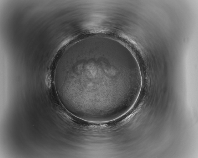 X0000094191306200710261123