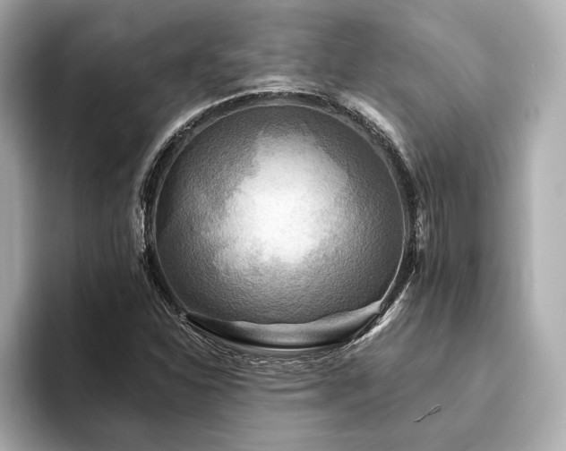 X0000094191310200710261123
