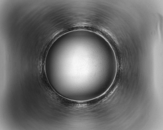 X0000094191313200710261123
