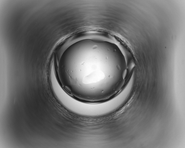 X0000094191314200710261123