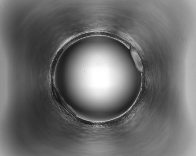 X0000094191316200710261123