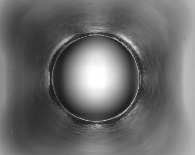 X0000094191317200710261123