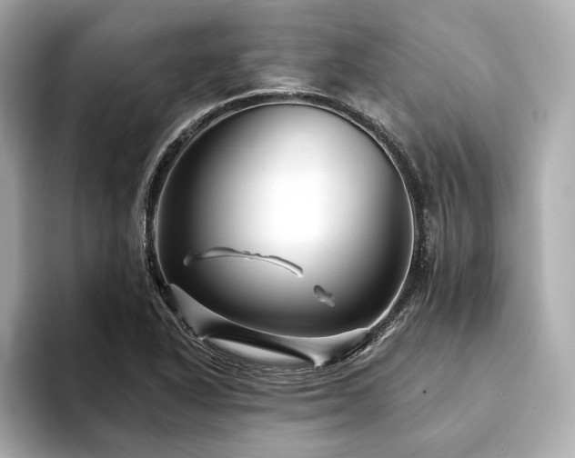 X0000094191318200710261123