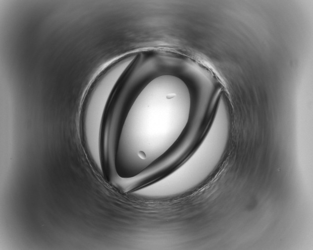 X0000094191320200710261123