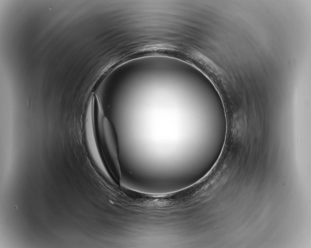 X0000094191321200710261123