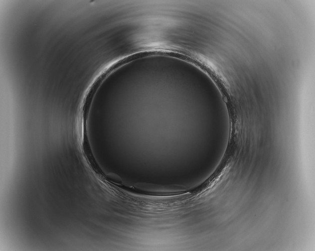 X0000094191323200710261123