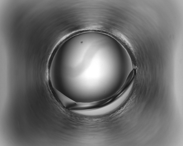 X0000094191324200710261123
