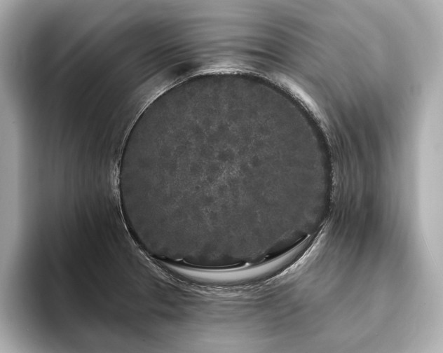 X0000094191329200710261124