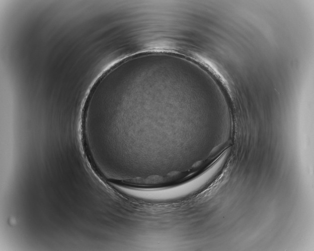 X0000094191331200710261124