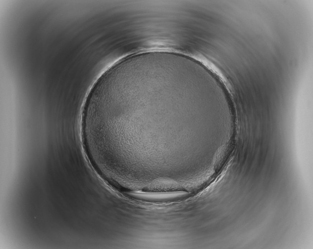 X0000094191333200710261124