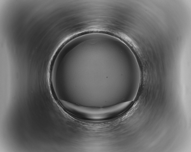 X0000094191334200710261124