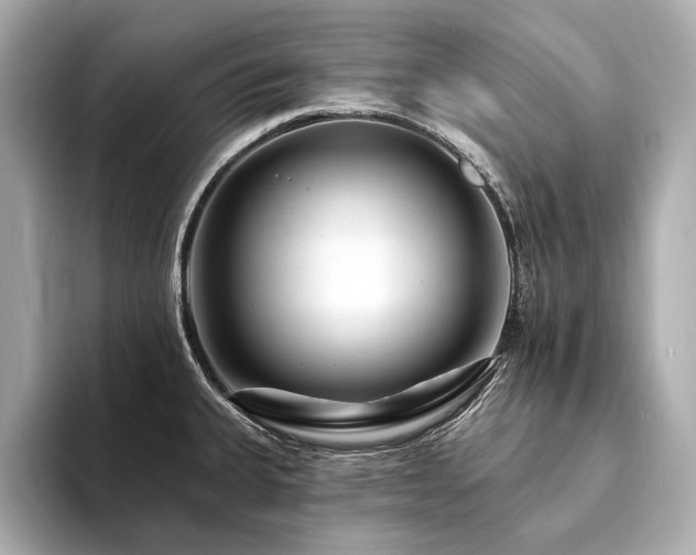 X0000094191335200710261124