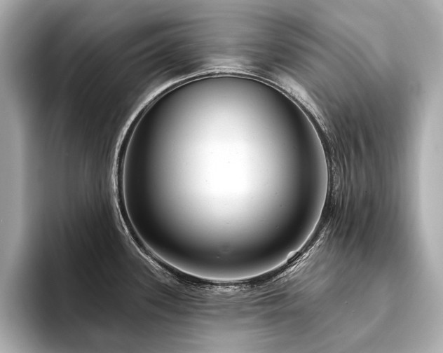 X0000094191339200710261124