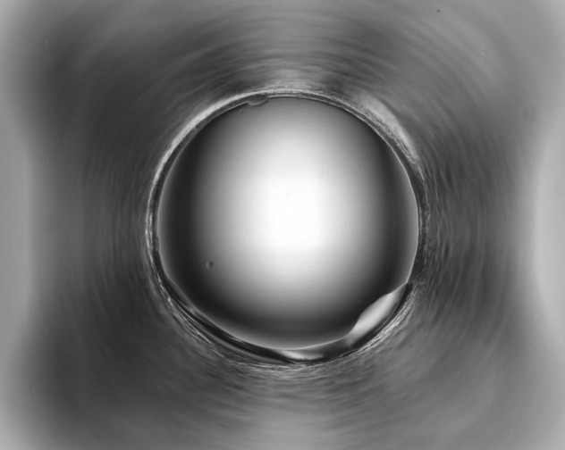 X0000094191340200710261124