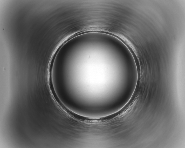 X0000094191341200710261124