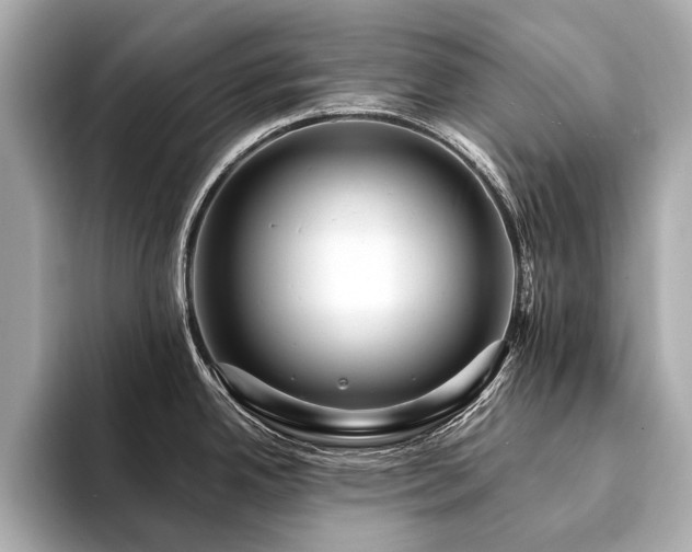X0000094191342200710261124