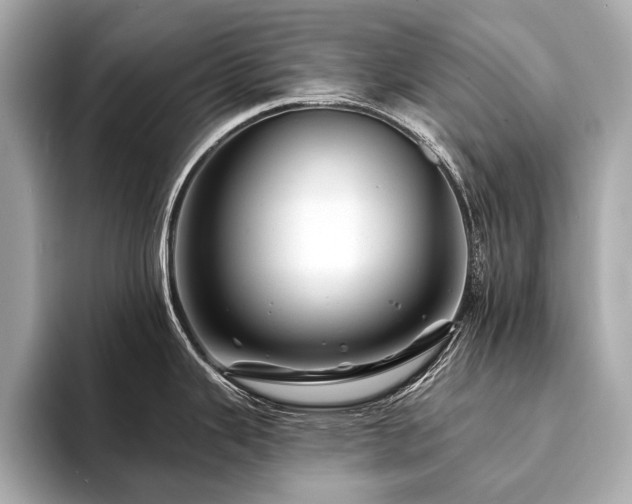 X0000094191343200710261124
