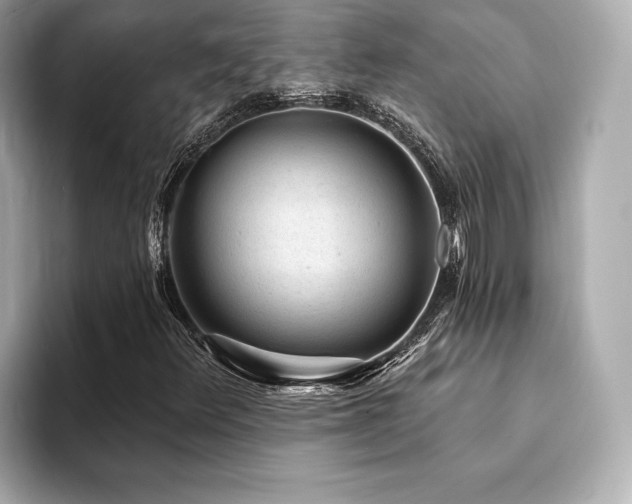 X0000094191348200710261123
