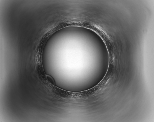 X0000094191350200710261123