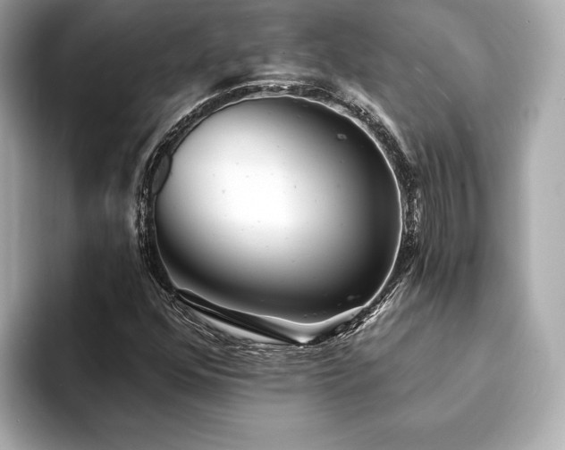 X0000094191352200710261123