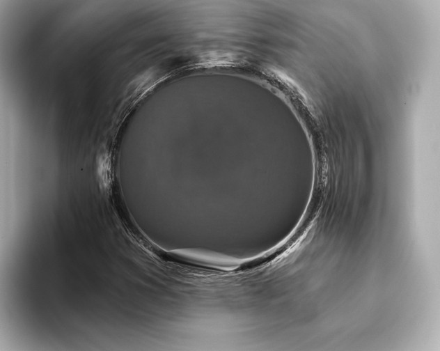 X0000094191353200710261123
