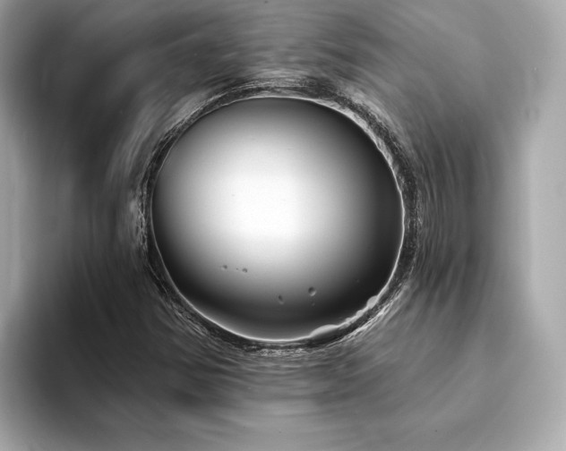 X0000094191354200710261123
