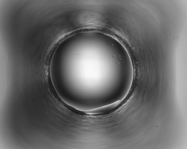 X0000094191355200710261123