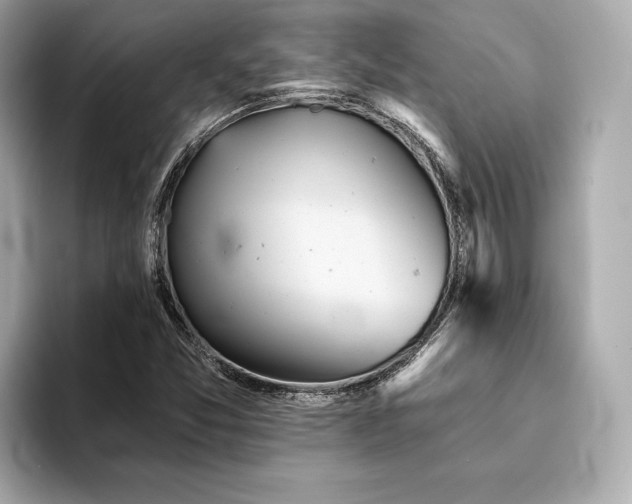 X0000094191357200710261123