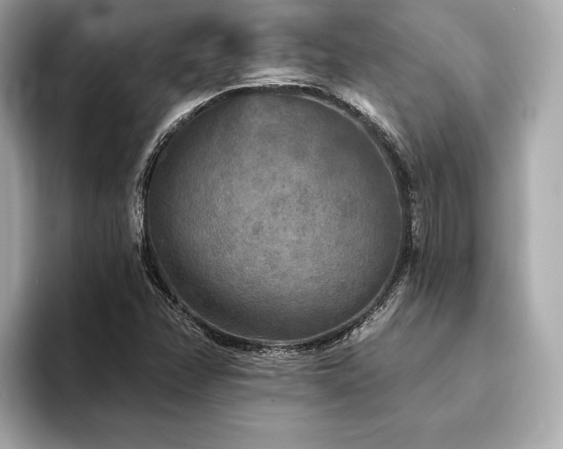 X0000094191358200710261123
