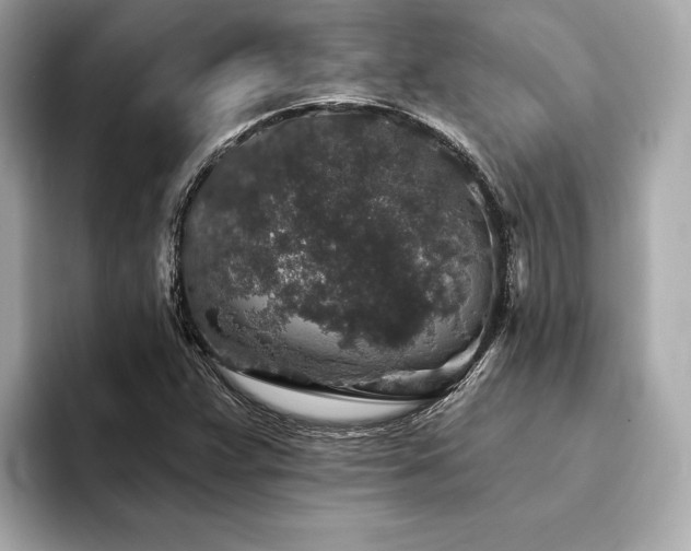 X0000094191359200710261123