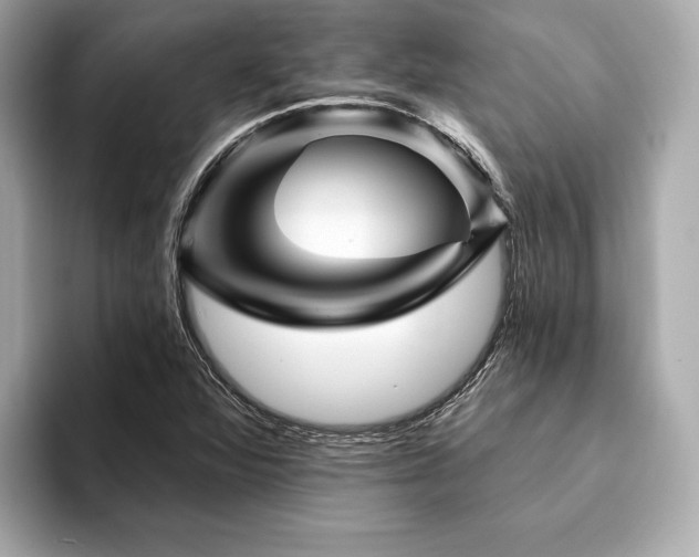 X0000094191360200710261123