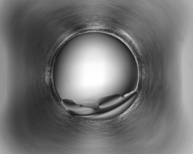 X0000094191361200710261123