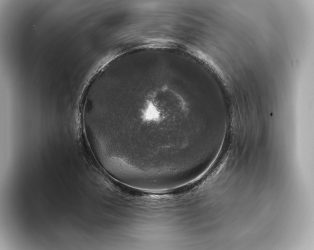 X0000094191362200710261123