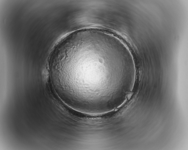 X0000094191363200710261123