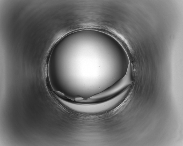X0000094191365200710261123
