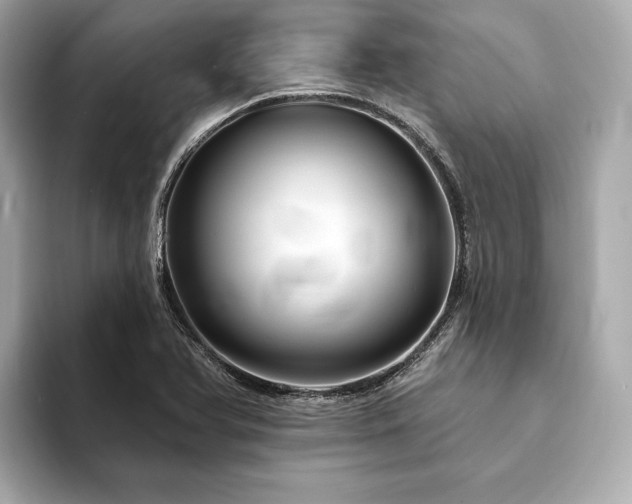 X0000094191366200710261123