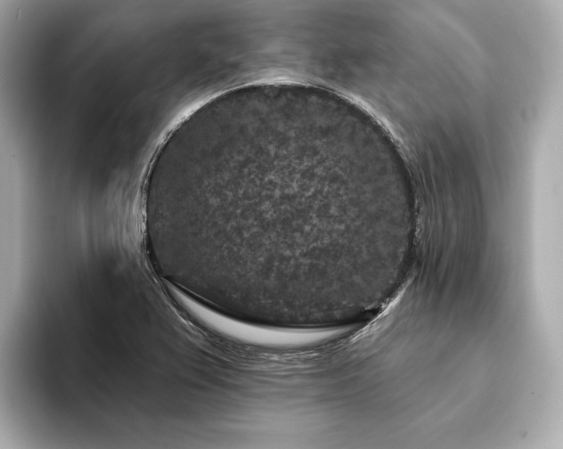 X0000094191367200710261123