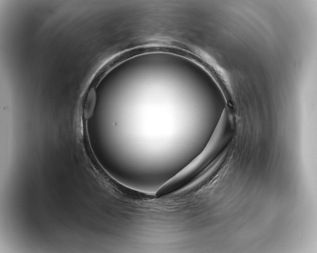X0000094191368200710261123
