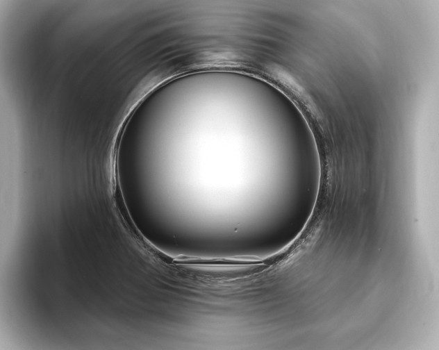 X0000094191370200710261123