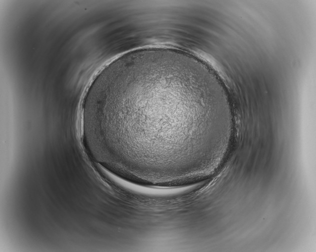 X0000094191371200710261123