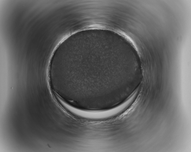 X0000094191373200710261123