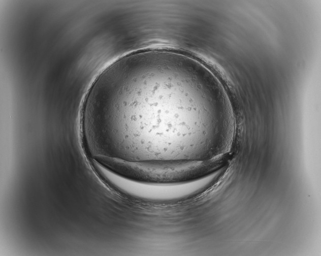X0000094191375200710261123