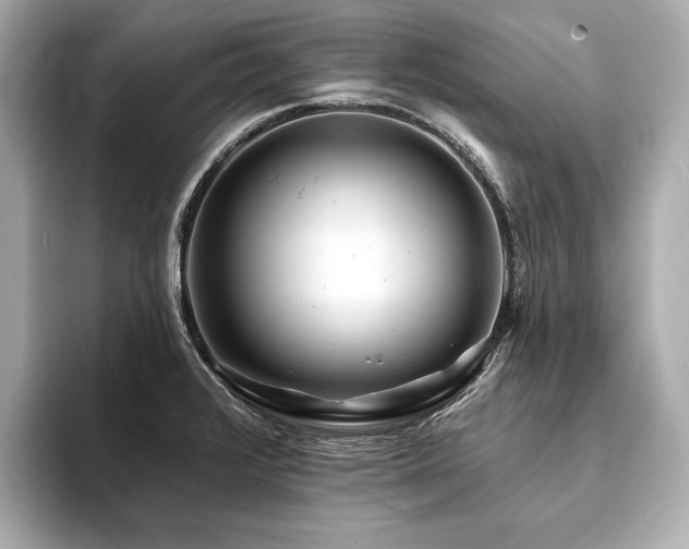 X0000094191376200710261123