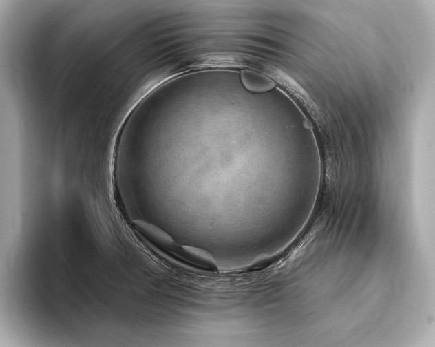 X0000094191378200710261123