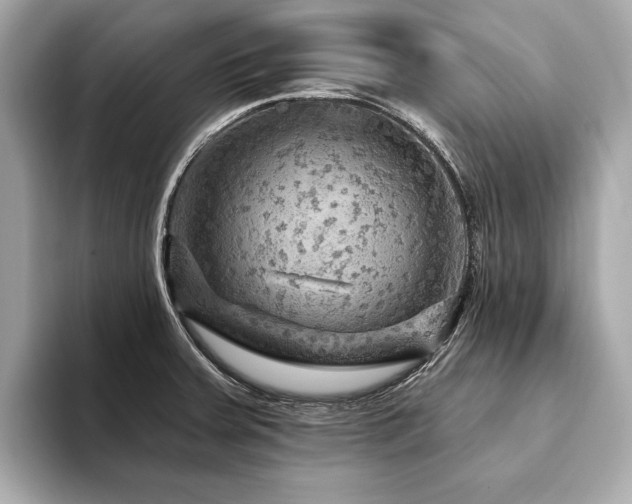X0000094191379200710261123