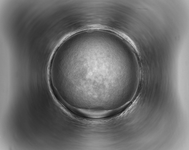 X0000094191381200710261123