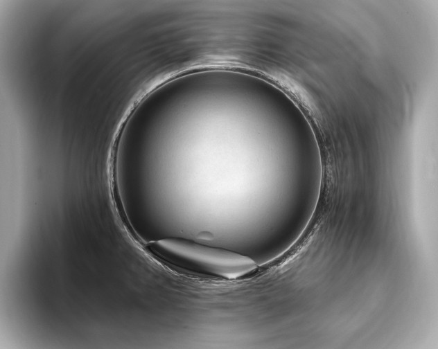 X0000094191382200710261123