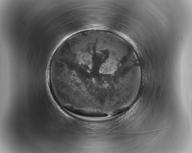 X0000094191383200710261123