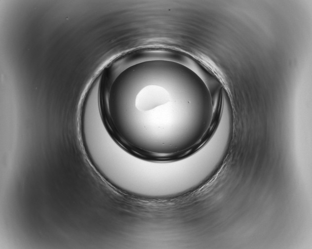 X0000094191384200710261123